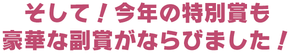 そして!今年の特別賞も豪華な副賞がならびました!